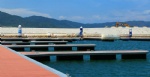 PE Material Floating dock