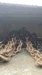 Marine Anchor Chain